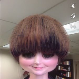 Meet your Posher, Hollie